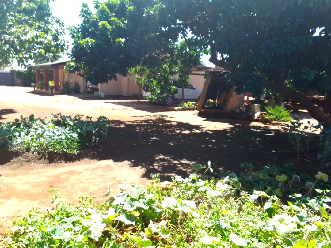Property Thumbnail